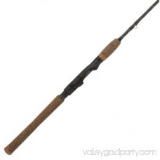 Berkley Lightning Rod Spinning Fishing Rod 565570242
